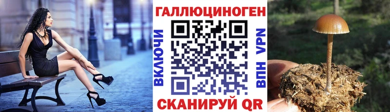 hydra tor  Куса  Псилоцибиновые грибы мицелий 